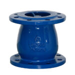 Van một chiều lò xo - Ảnh 2