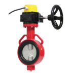 Van bướm trục đối xứng - Ảnh 5