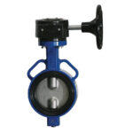 Van bướm trục đối xứng - Ảnh 3