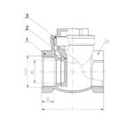 Van một chiều đồng lá lật nối ren - Ảnh 2
