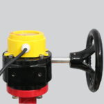 Van bướm tín hiệu - Ảnh 4