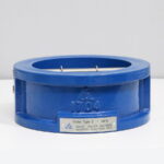 Van một chiều bướm - Ảnh 2